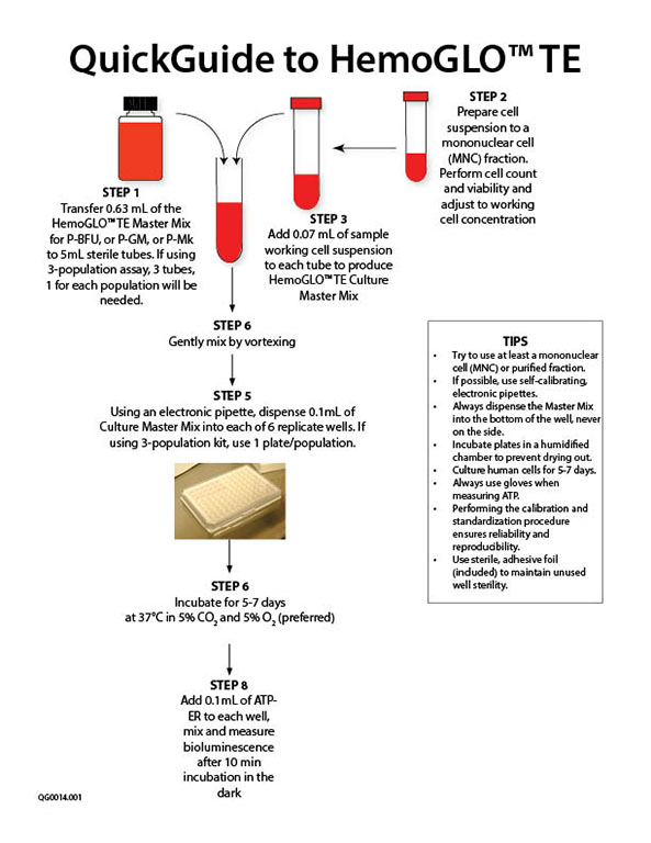 QuickGuide to HemoGLO™ TE to detect engraftment of cord blood, bone marrow or mobilized peripheral blood after stem cell transplantation